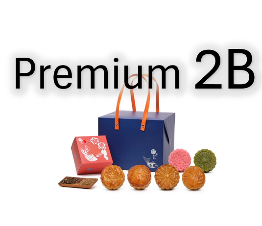 SET.TT24010